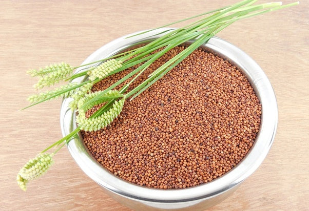 Ragi