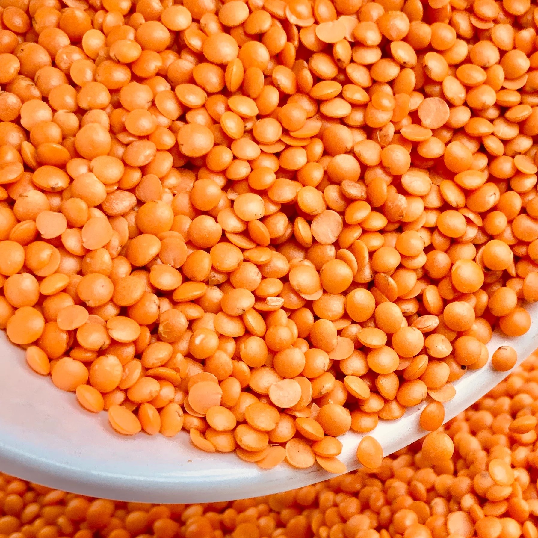 Red Toor Dal